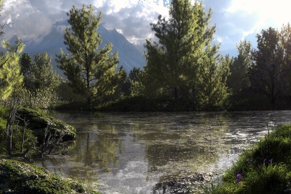 Sunny day in the forest by the lake