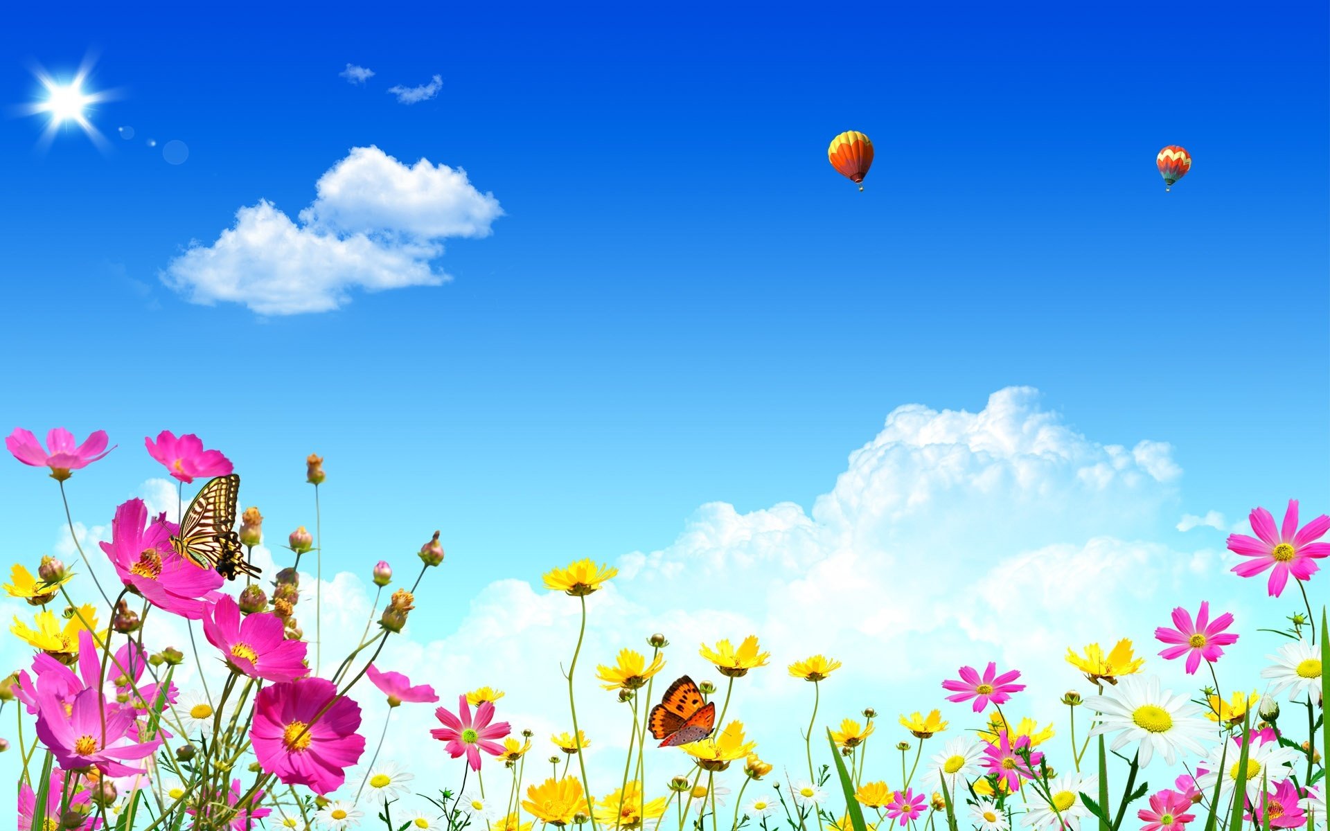 nature flowers butterfly sky clouds glare light balloons spring summer warmth summer spring