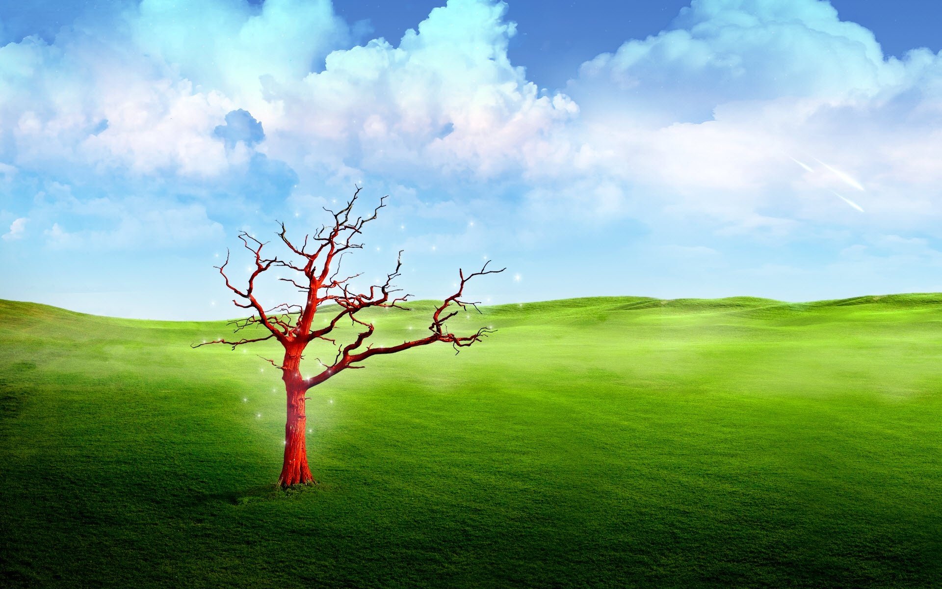 nature grass meadow red tree sky cloud