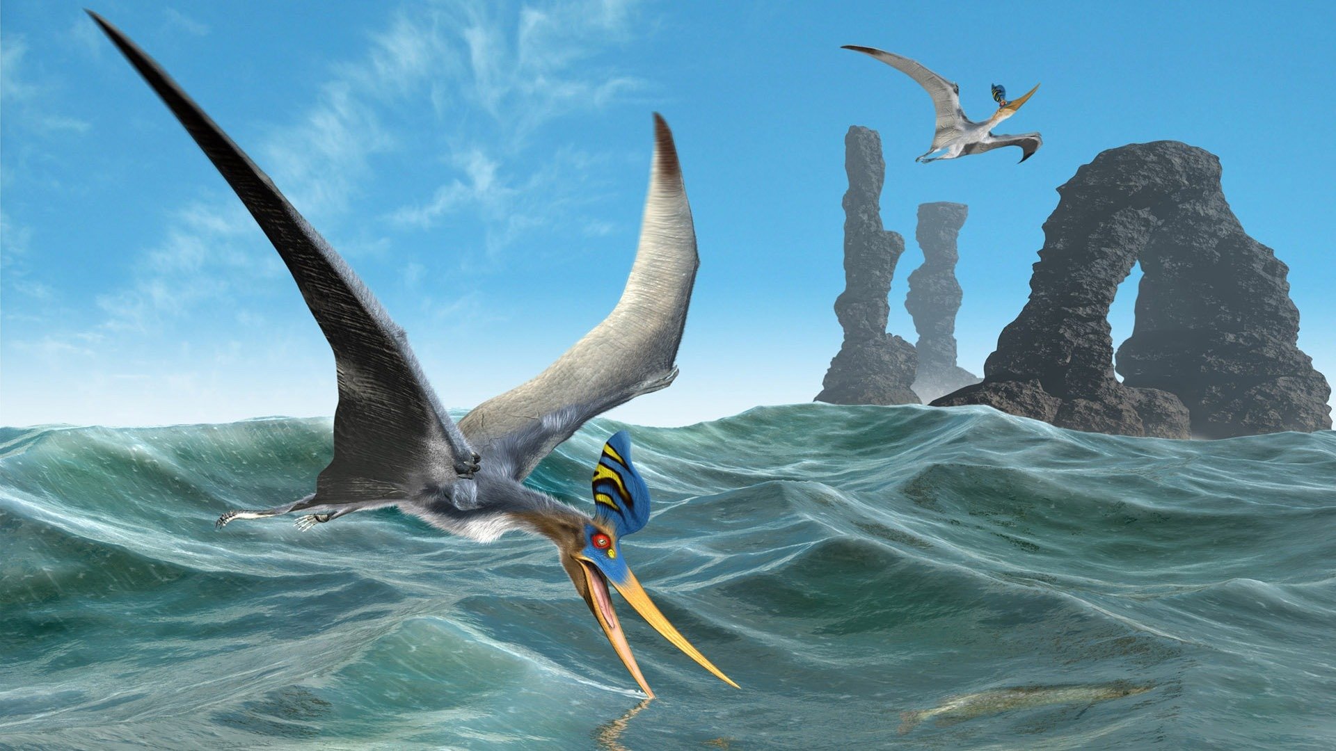 mare pterodattilo uccello volo rocce arco