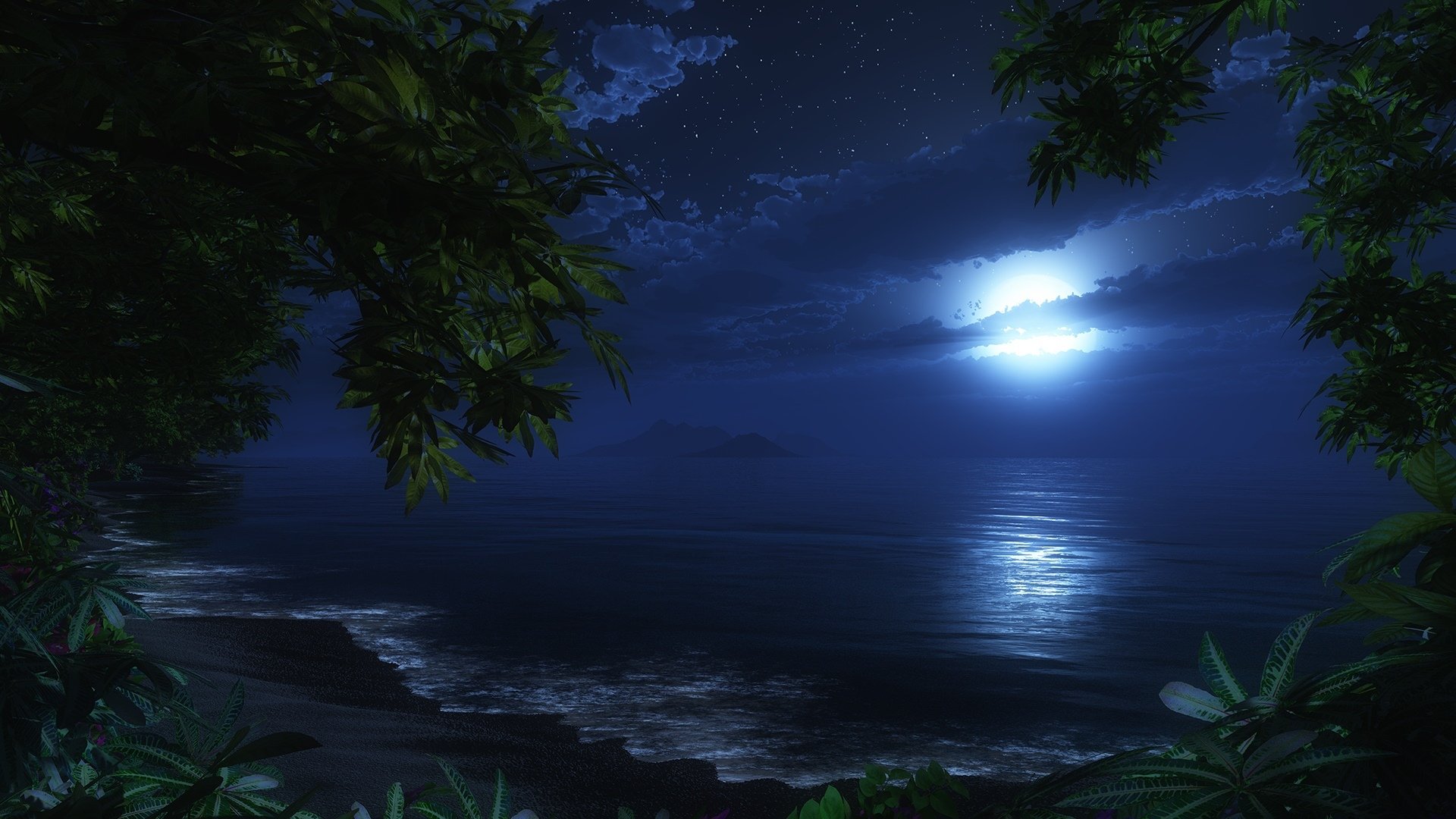 night moon beach sea. romance