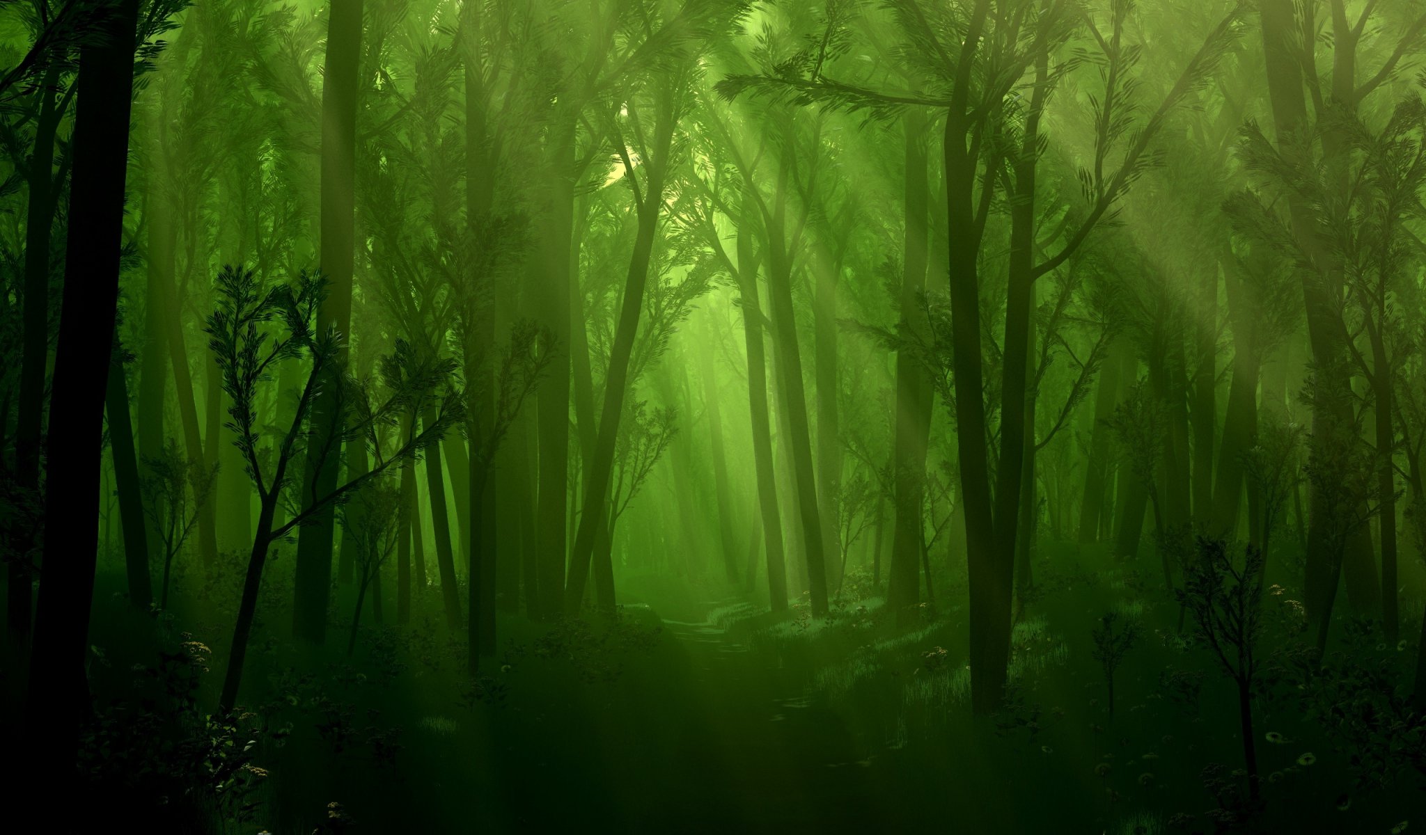 forêt ruisseau lumière arbres