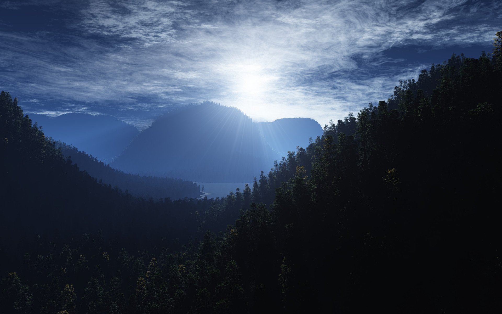 foresta sole oscurità cielo