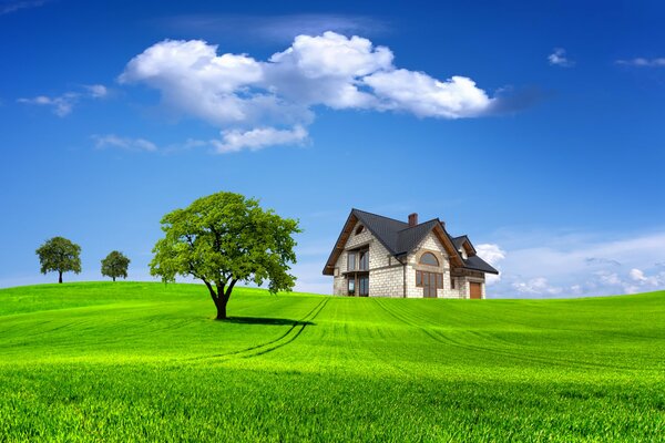 Landscape about nature, summer, house, house, trees, tree, sky, clouds, field