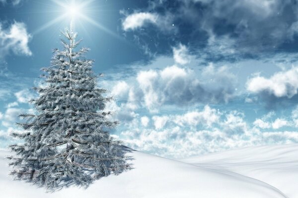 Christmas tree with a bright star in winter in nature