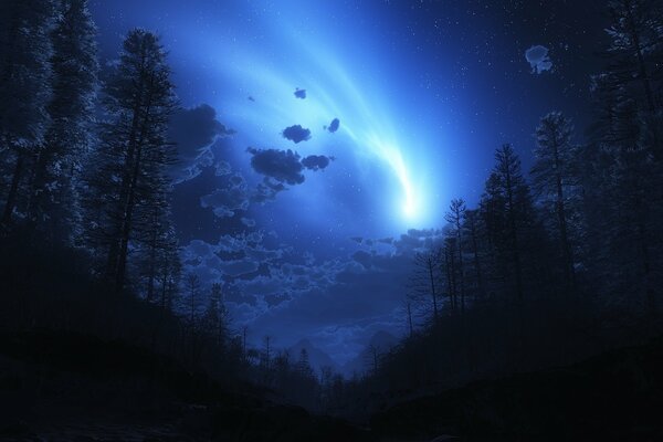 Fantastic glow in the sky. Night forest. The Blue Way