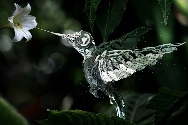 A living flower and a hummingbird robot