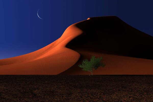 Albero solitario sullo sfondo di una duna