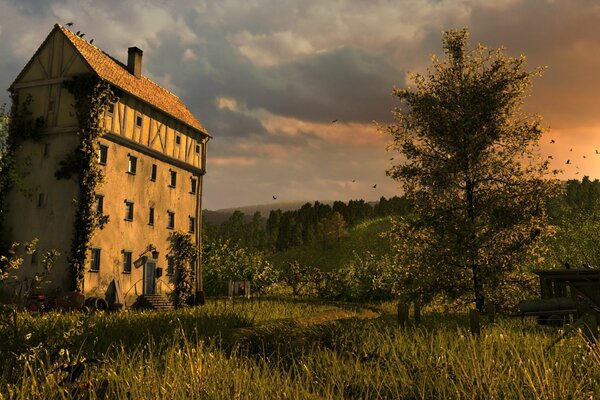 Haus im Hintergrund des Sonnenuntergangs im grünen Gras