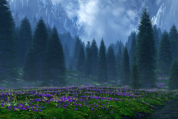 Flower meadow on the background of fir trees