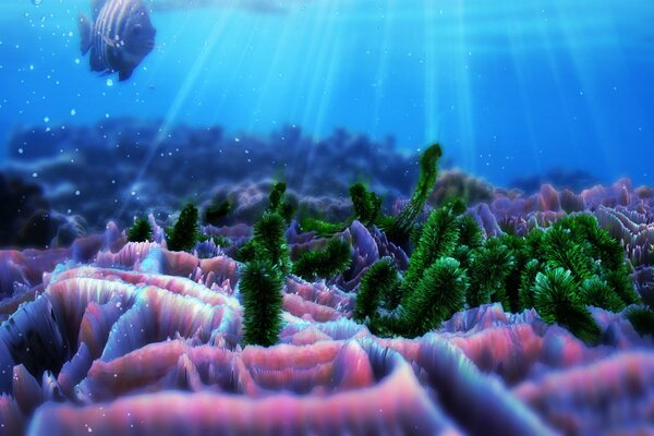 Coral reef with fish, the rays of the sun penetrate through the water