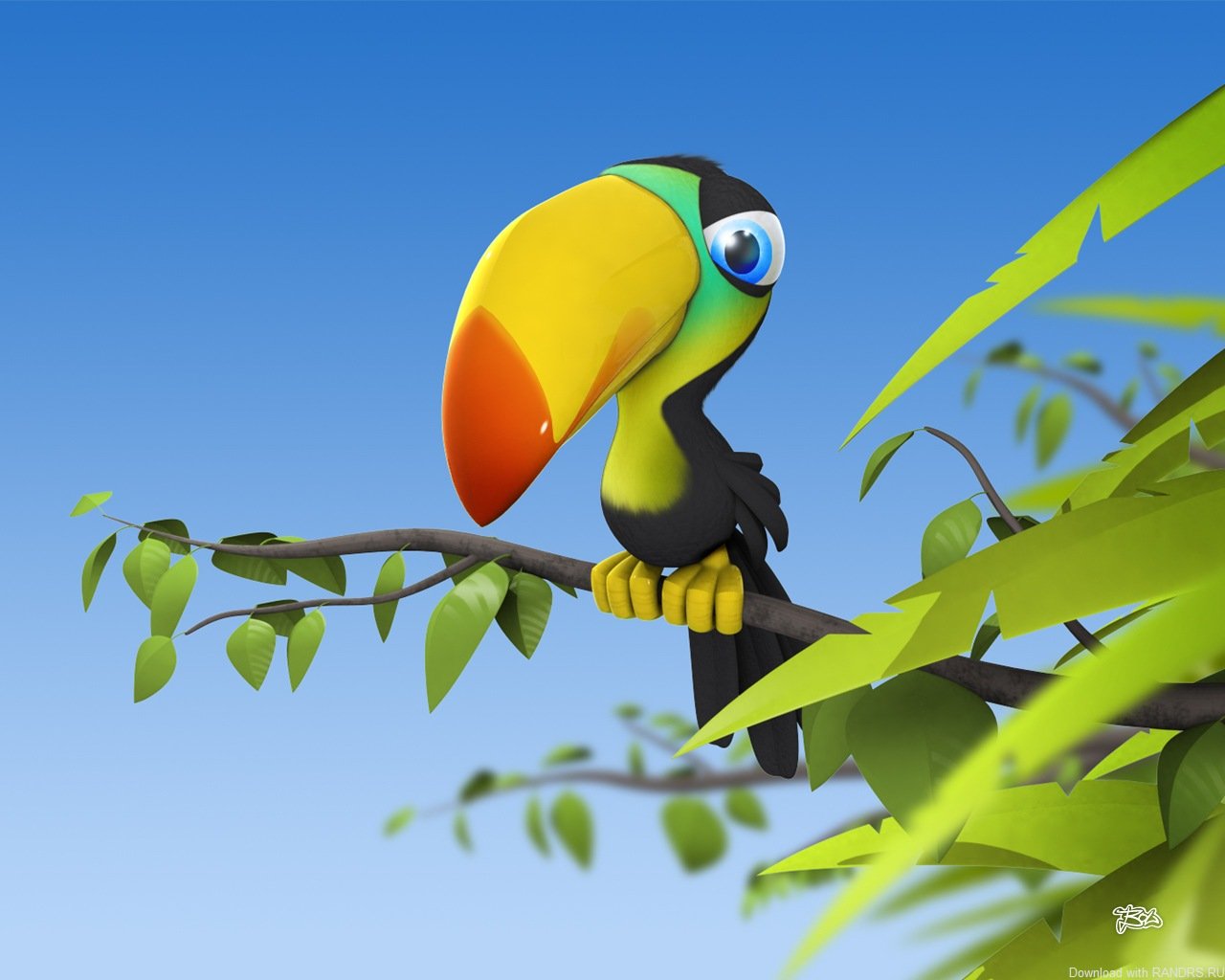 le toucan oiseau branche feuilles