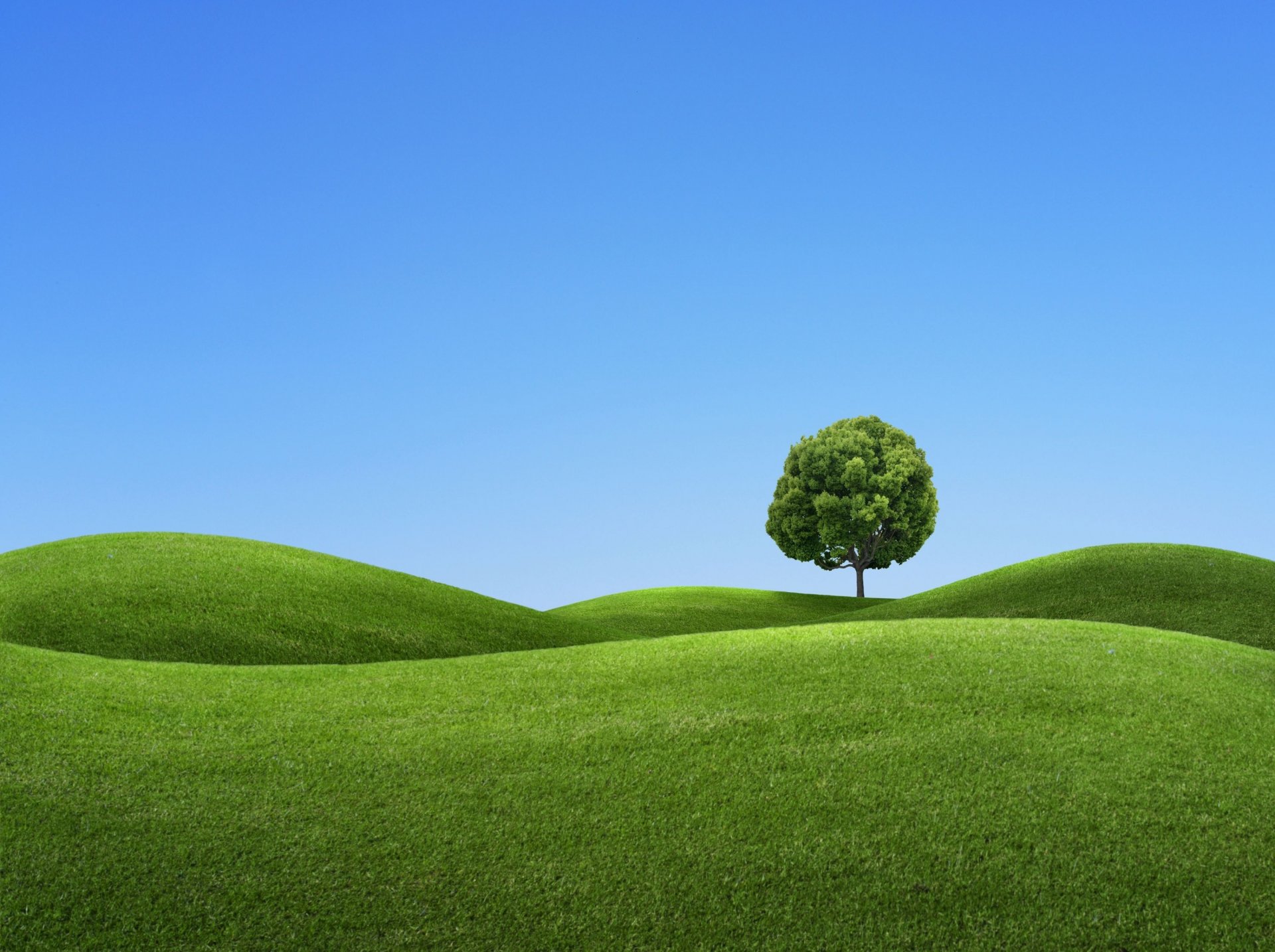 cielo paesaggio albero colline