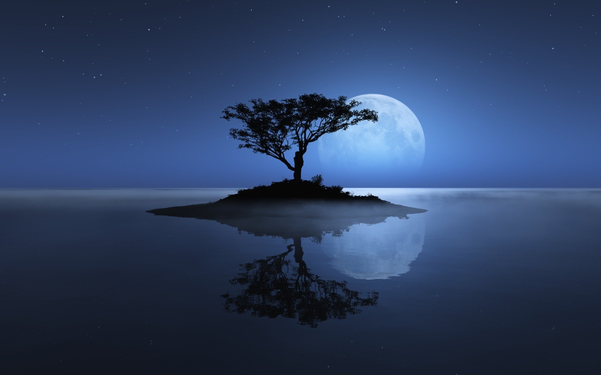 tree sea island moon sky