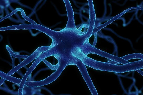 Red neuronal ampliada