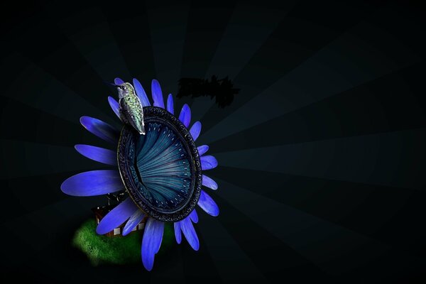 Kwiat z niebieskimi płatkami i ptakiem