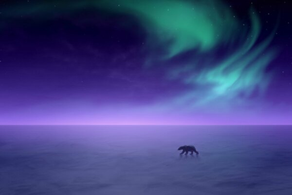 A bear walks through the snow against the background of the Northern lights