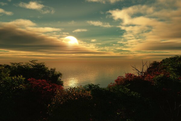 Bushes with flowers on the coast by the sea with the sun setting behind the clouds