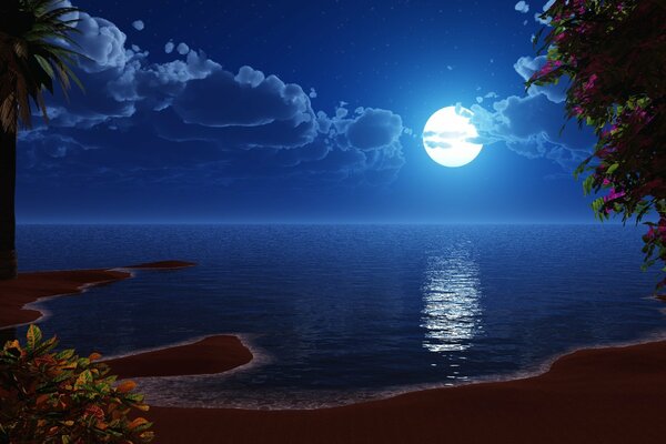 Costa del mare in una calda notte di luna