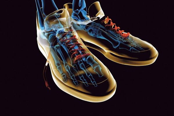 X-ray of feet in sneakers with laces