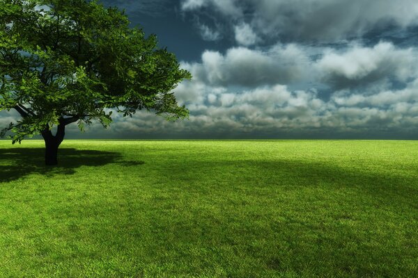 Clima nublado en un campo verde con un árbol