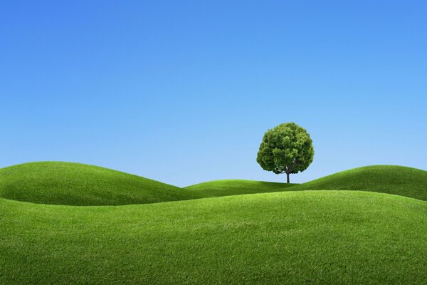 Zielone drzewo na falistych zielonych wzgórzach na niebieskim tle