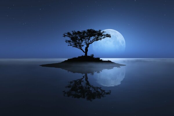 Albero solitario sotto la luna