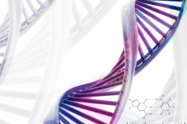 Najwyższa forma wszechświata w DNA