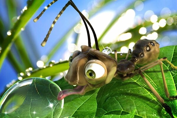 An ant licks a drop of dew from a leaf