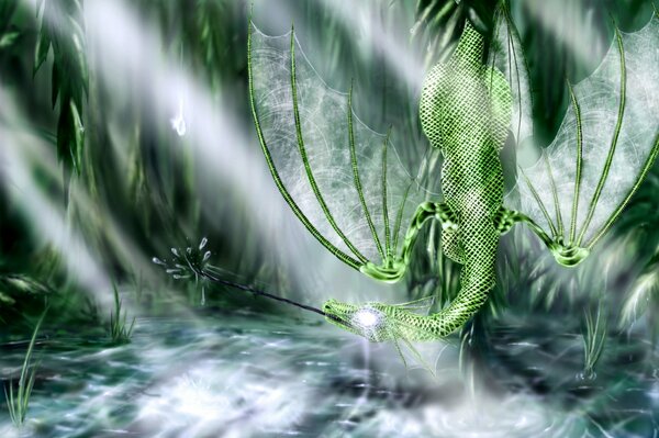 Зелёный дракон на лучистом болоте