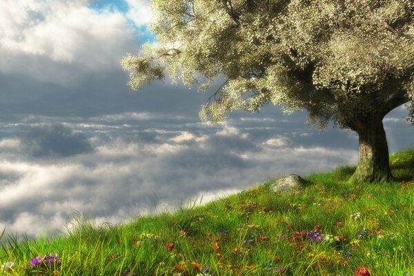 Paysage de printemps de la clairière