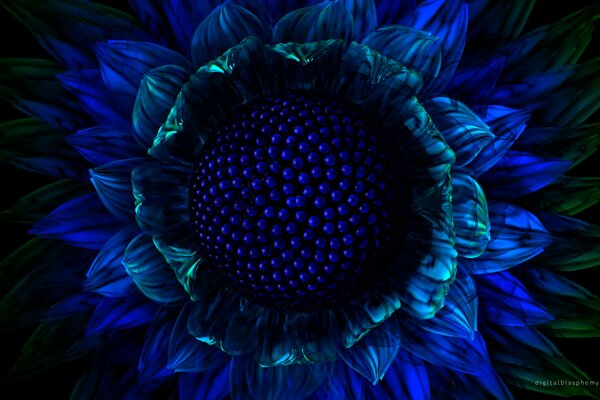 Графика из синего цветка