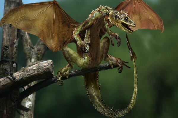 Rojo-caliente pequeño dragón verde con la cola levantada