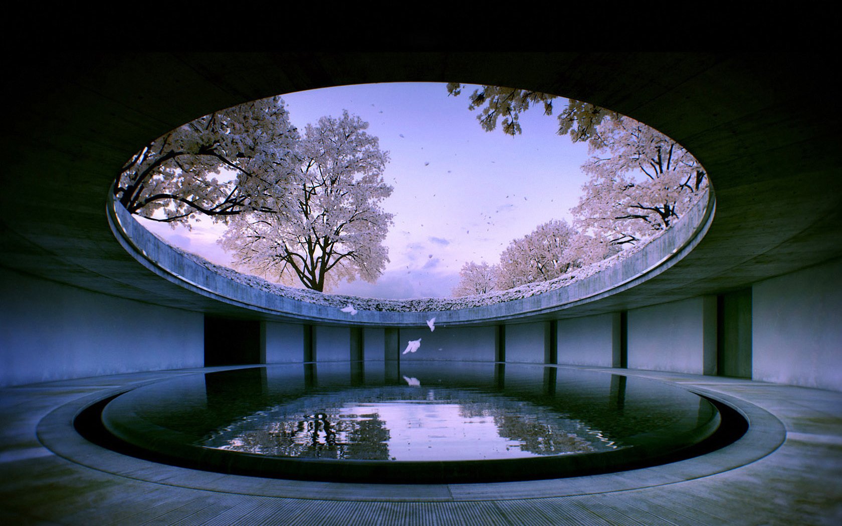 de l eau du bâtiment de la nature sakura