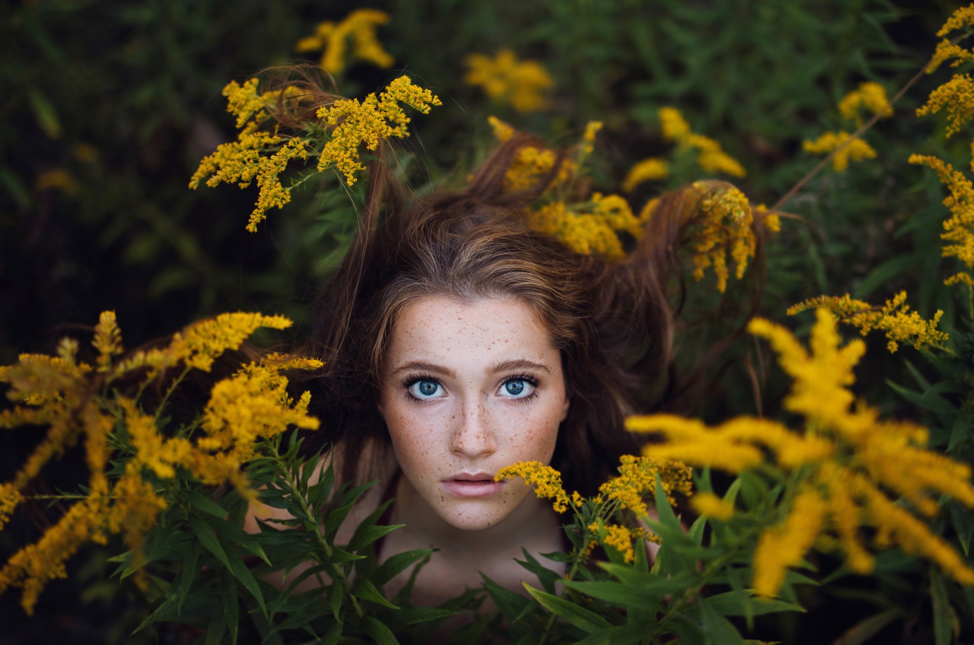 ailish verstecken suchen mädchen sommersprossen dickicht mimose bokeh jesse herzog