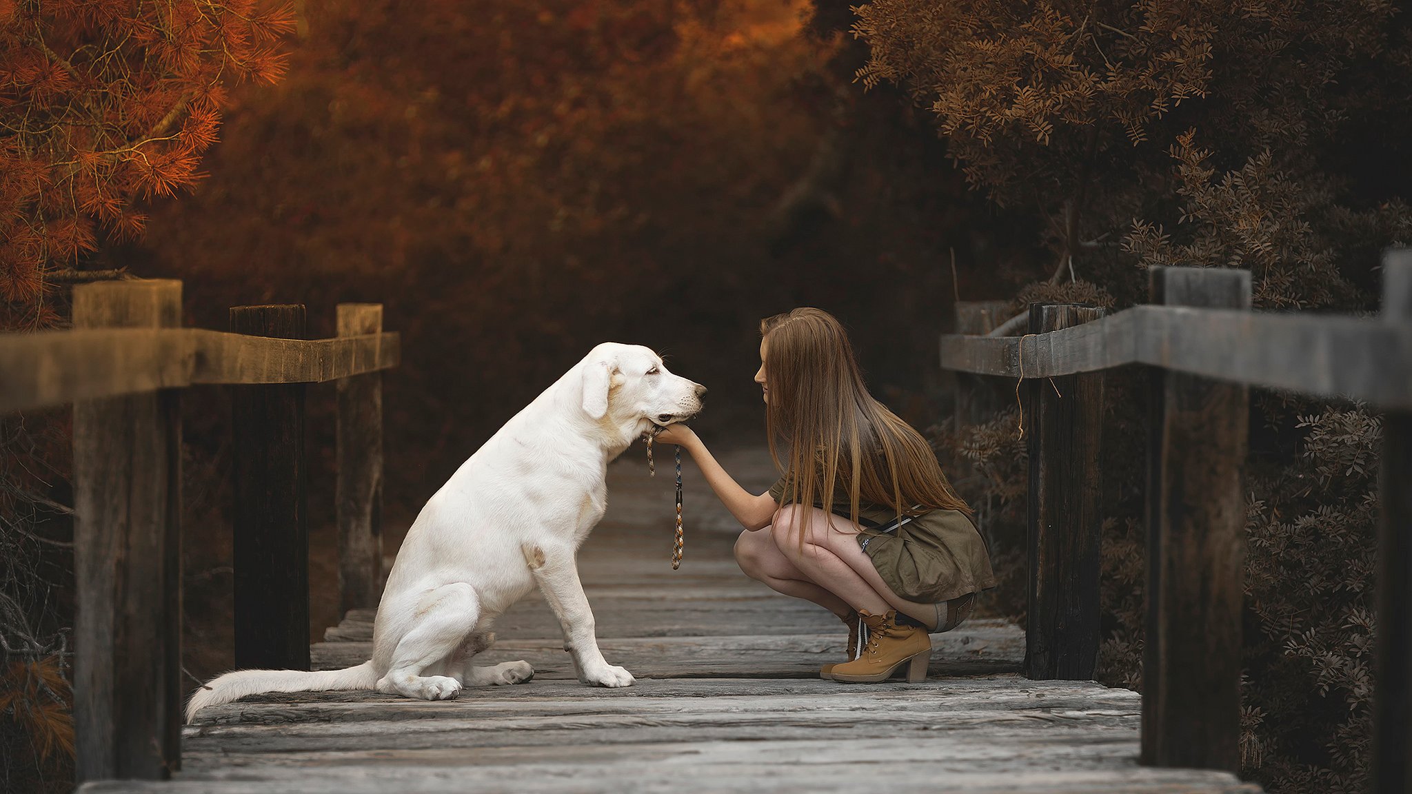 fille chien pont