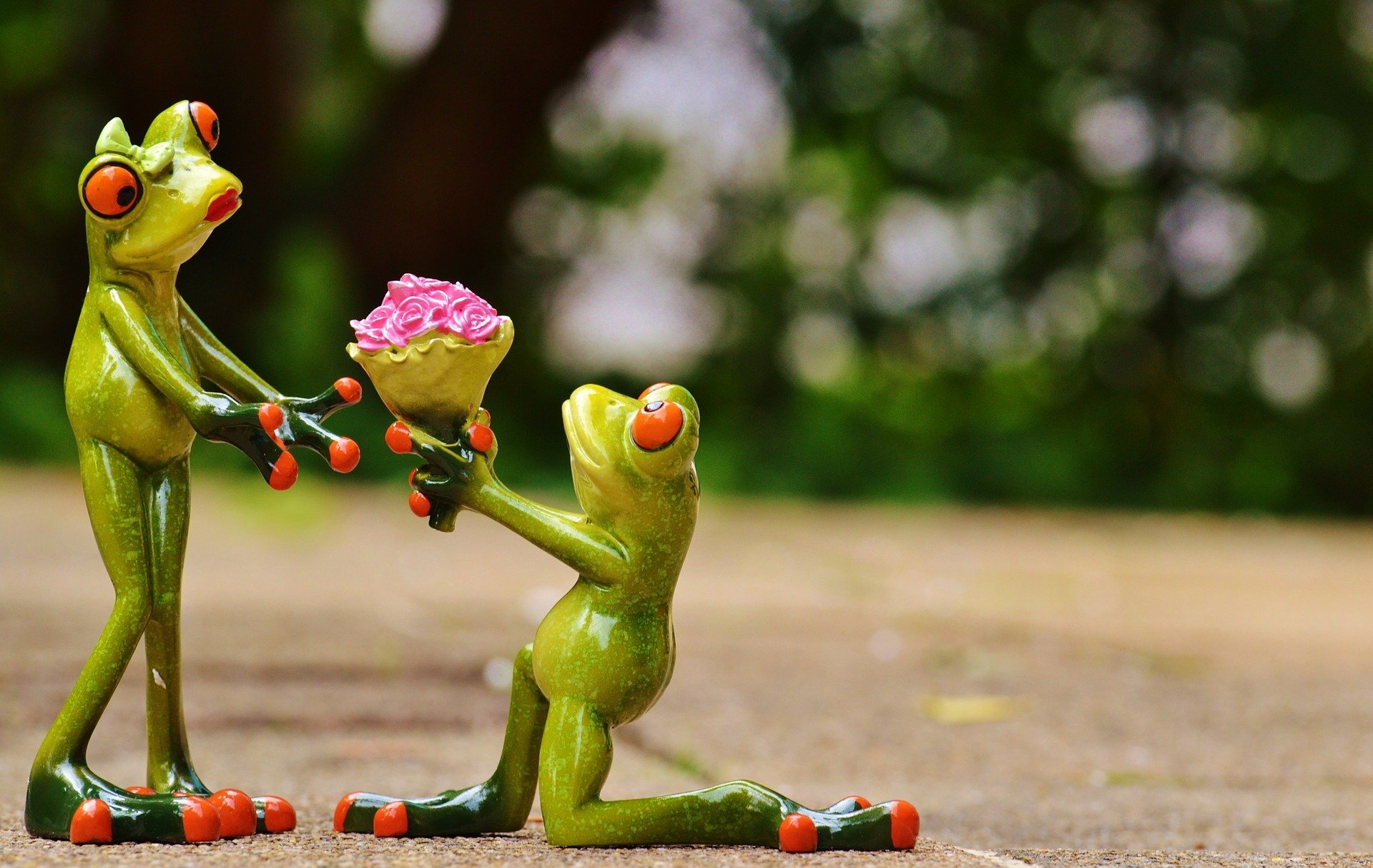 frosch frösche spielzeug figuren paar geschenk blumen blumenstrauß anerkennung liebe