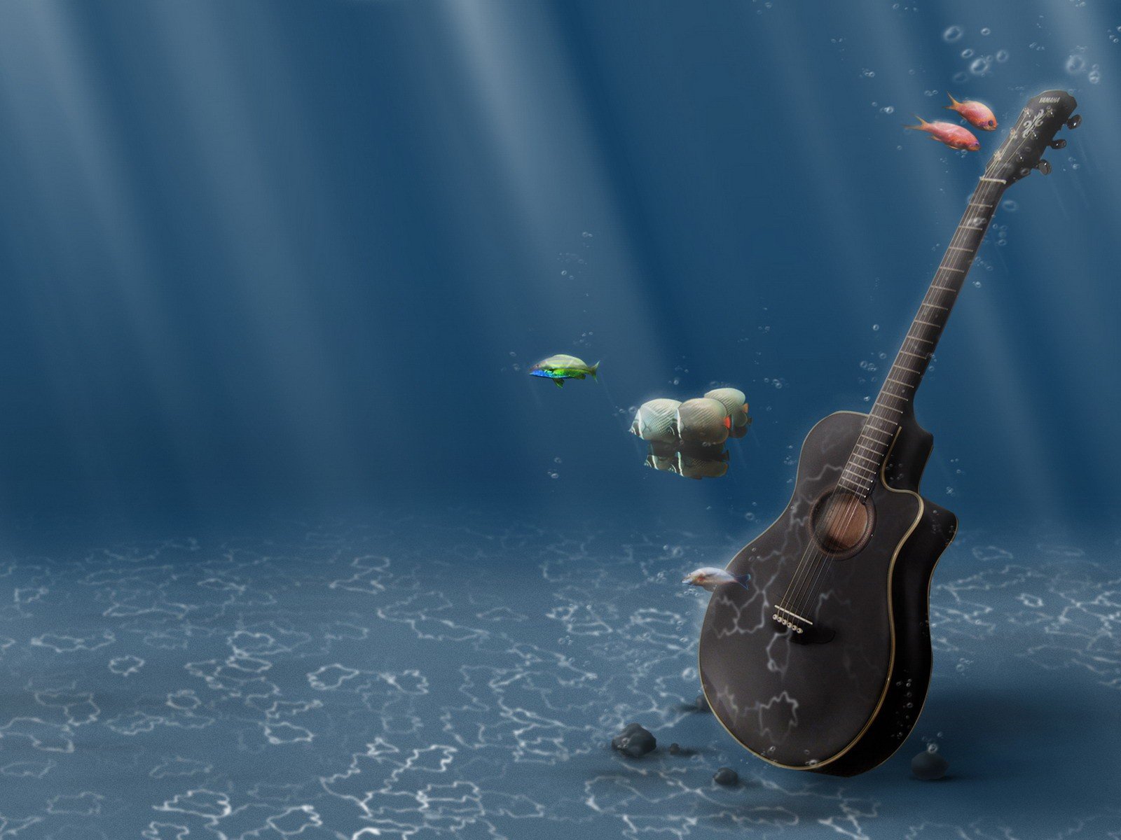 guitare de l eau les poissons