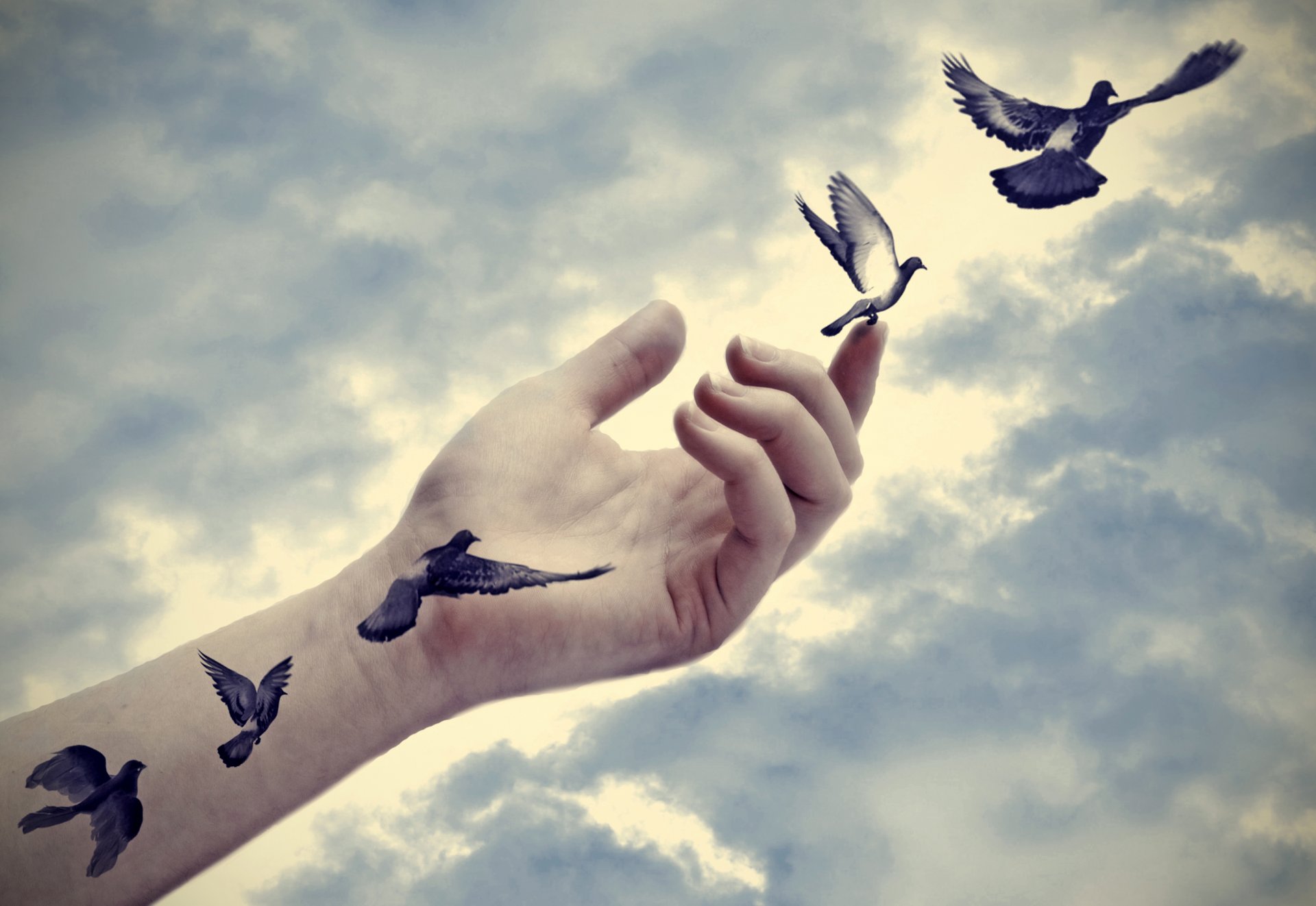 tattoo doves real illusion effect hand arm freedom peace