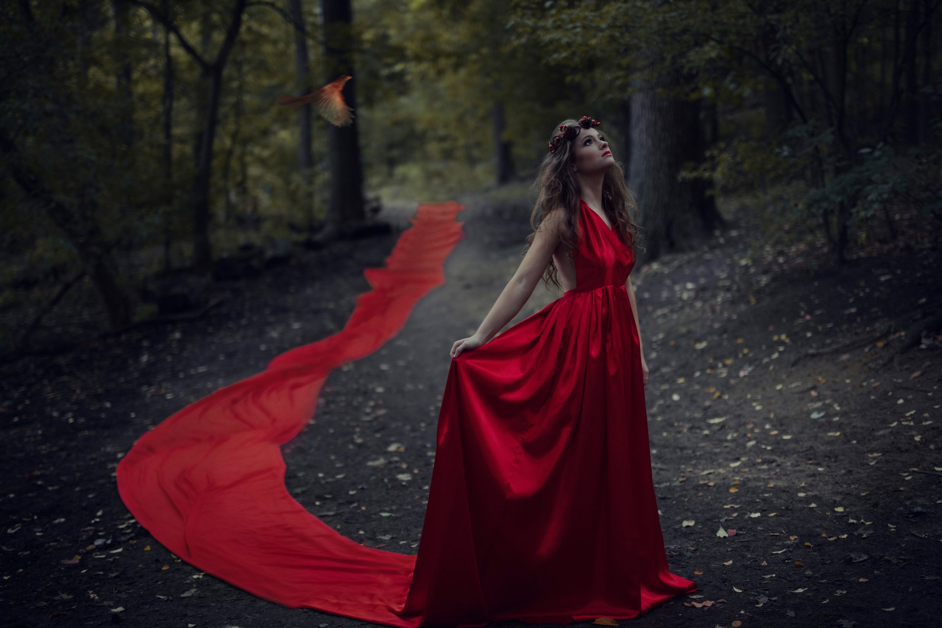 ailish fille robe rouge forêt oiseau jesse herzog