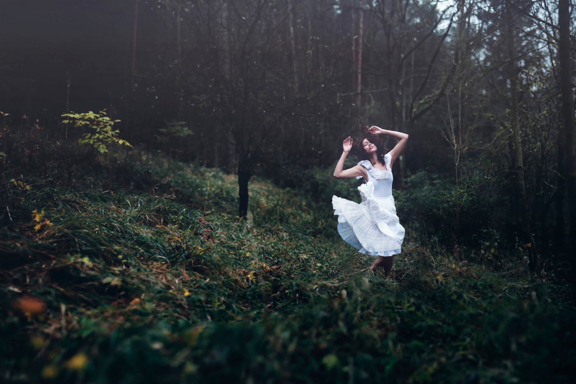 andrea peipe dreamweaver la jeune fille la forêt la robe la danse