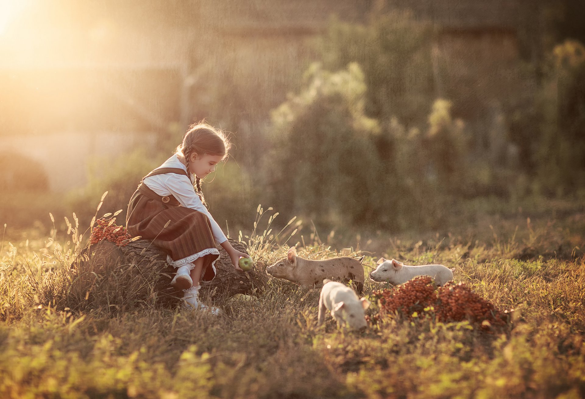 la petite fille les porcs de la pomme