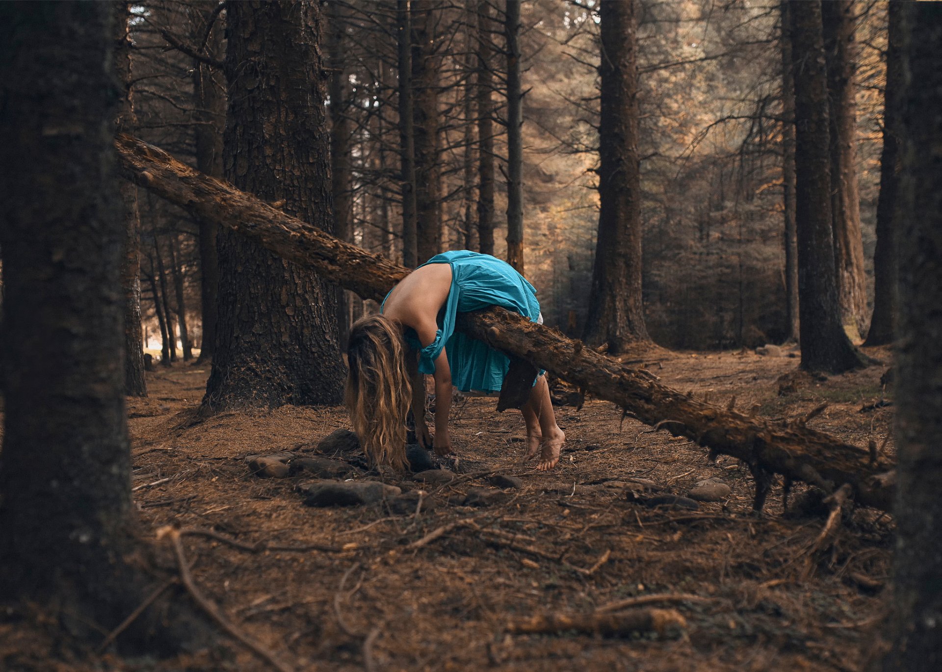 attendez ici rosie hardy fille robe forêt