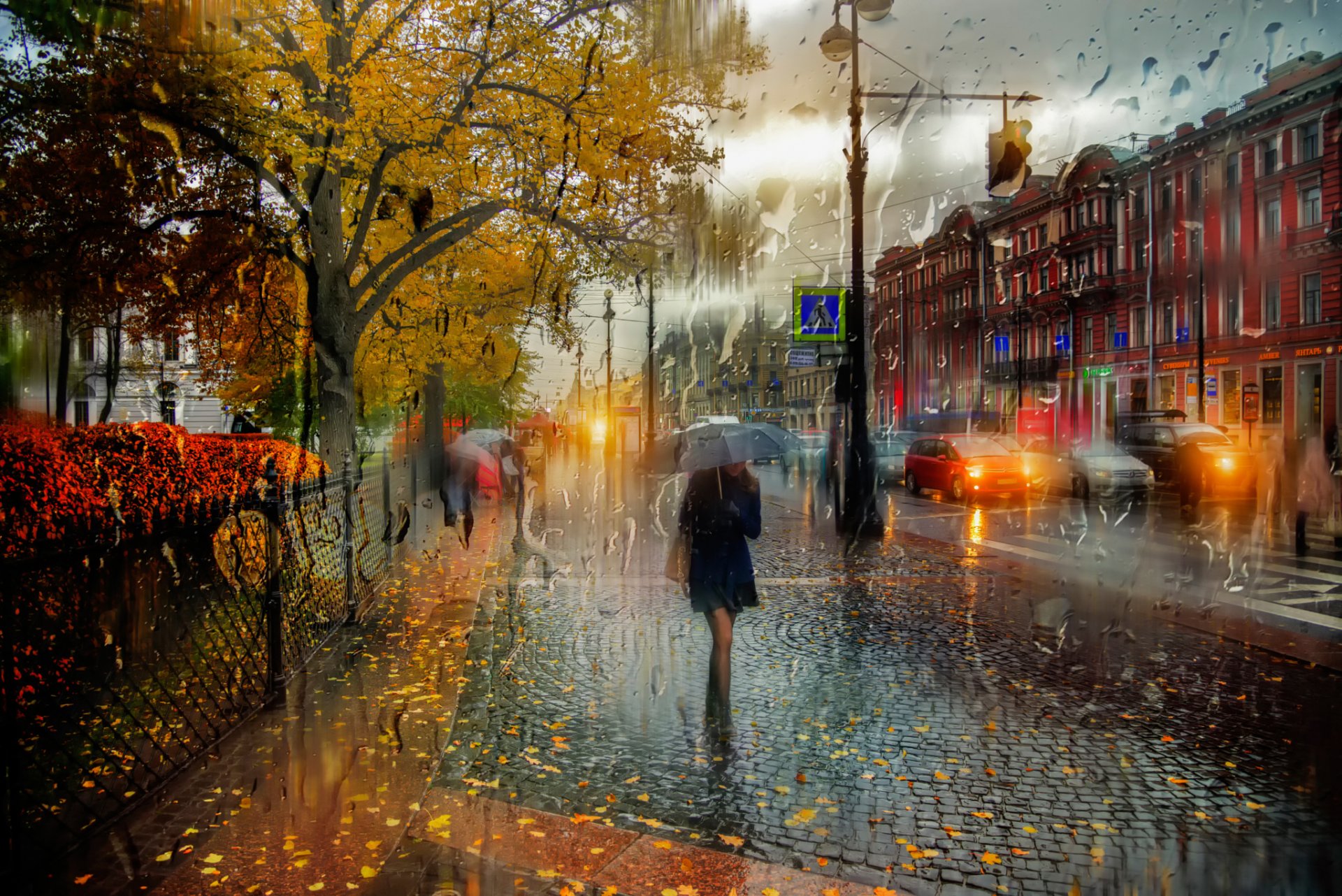 st. petersburg oktober regen mädchen regenschirm