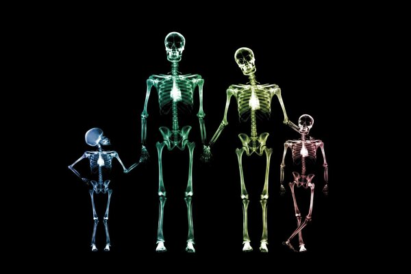 Familia de esqueletos multicolores sobre fondo negro