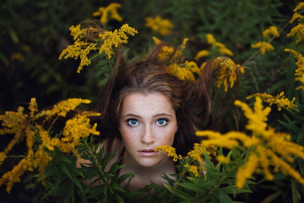 Mädchen mit Sommersprossen im Dickicht einer Mimose