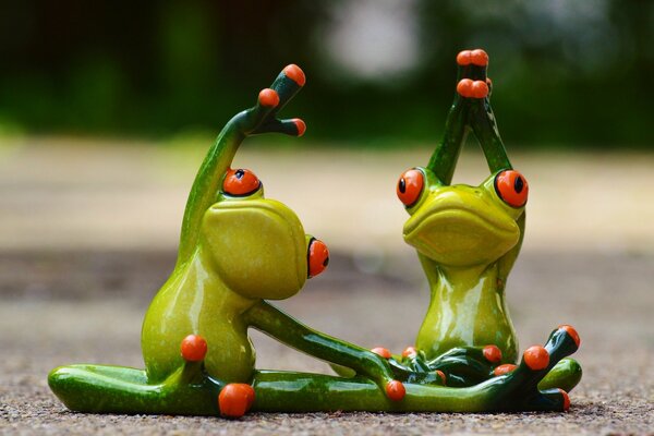 Unusual frogs doing gymnastics