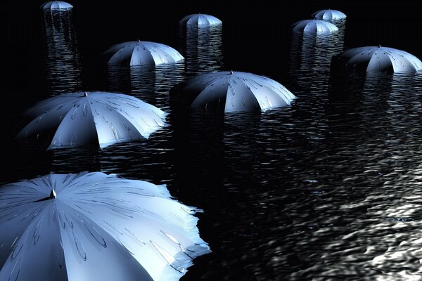 Parapluies gris Uni sur l eau noire