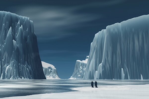 Deux pingouins parmi les montagnes de glace