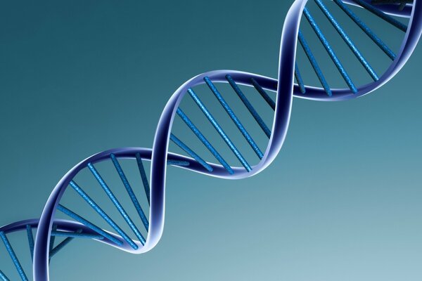 The DNA helix is blue